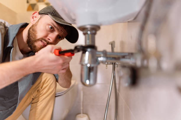 Best Sewer Line Repair  in Antwerp, OH